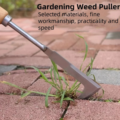Zynura™ Precision Weeder